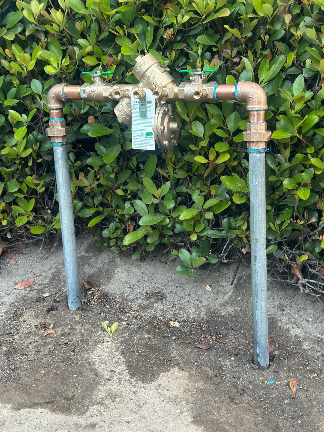 Zurn backflow preventer with landscaping background